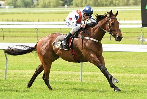 Tomorrowland wins the Listed Chaineys Panasonic Levin Stakes. RaceImages Palmerston North.